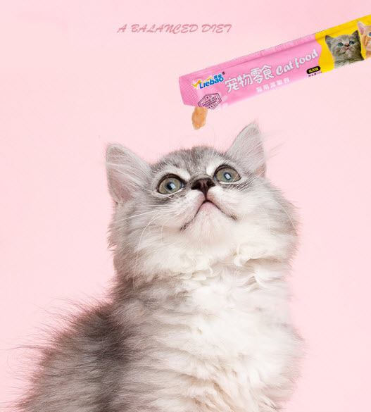 Anak kucing menikmati waktu camilan